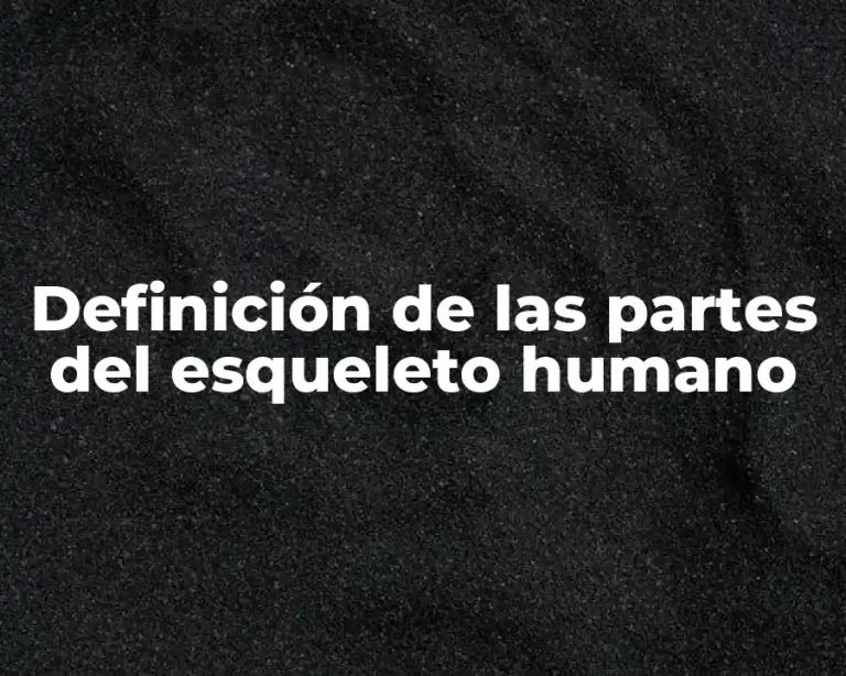 Definición de las partes del esqueleto humano