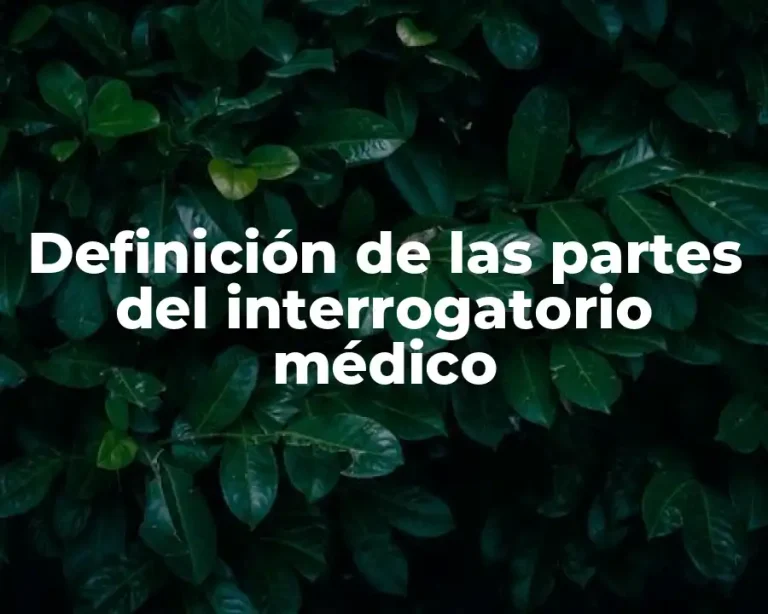 Definición de las partes del interrogatorio médico