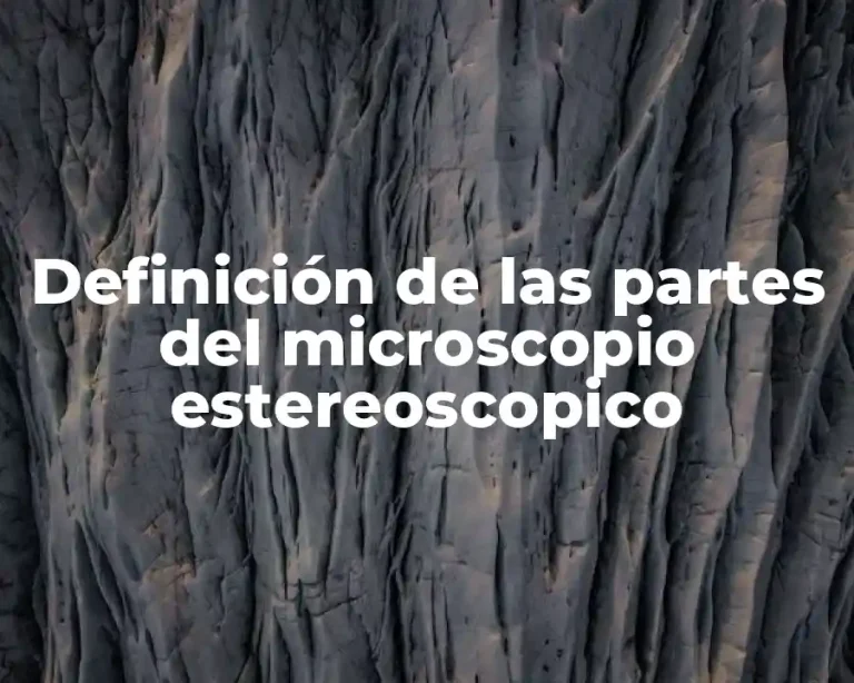 Definición de las partes del microscopio estereoscopico