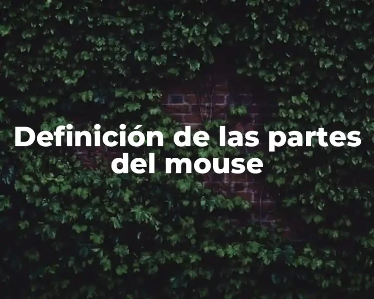 Definición de las partes del mouse