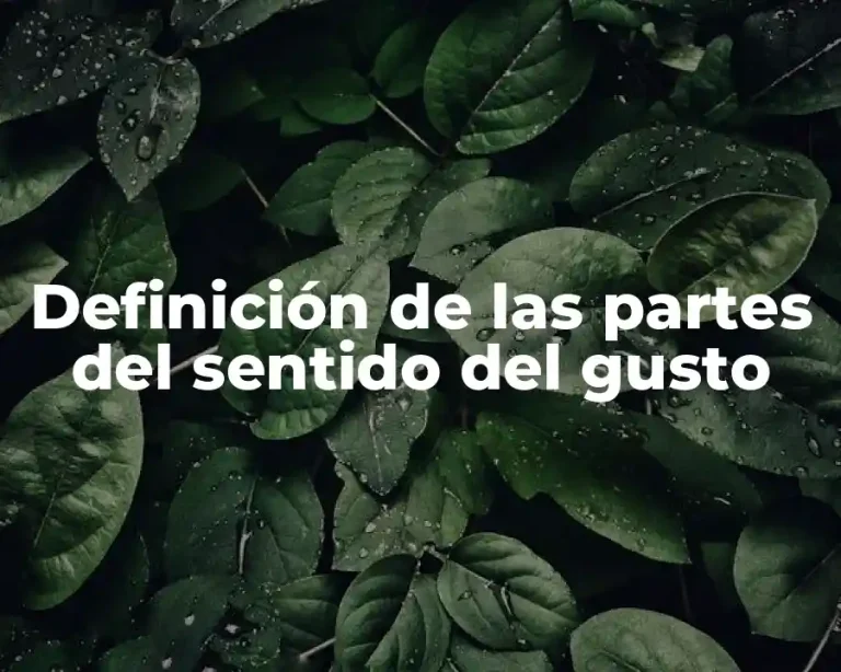 Definición de las partes del sentido del gusto