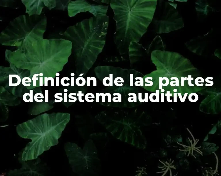 Definición de las partes del sistema auditivo