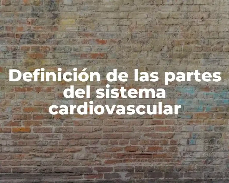 Definición de las partes del sistema cardiovascular