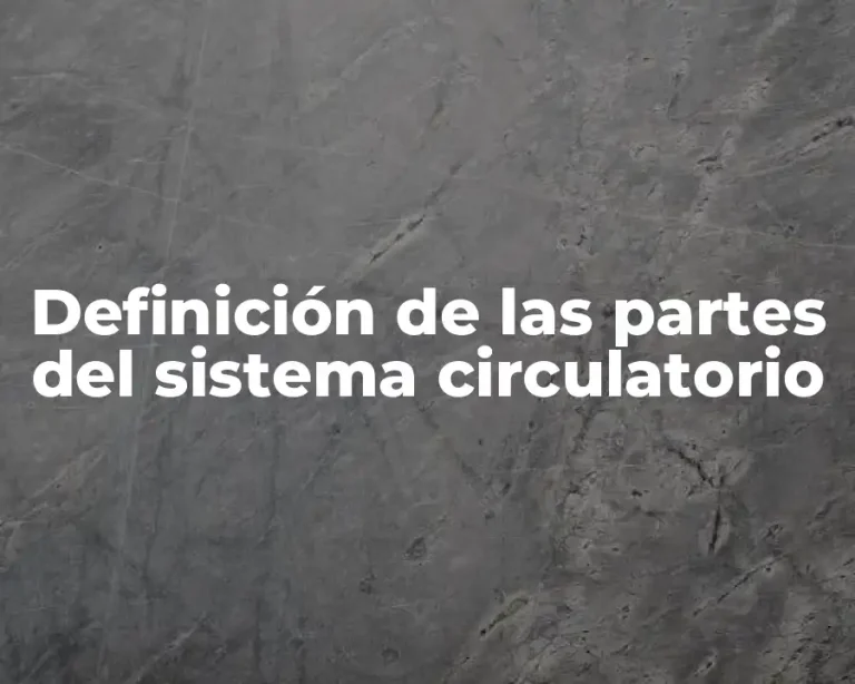 Definición de las partes del sistema circulatorio