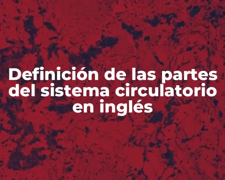 Definición de las partes del sistema circulatorio en inglés