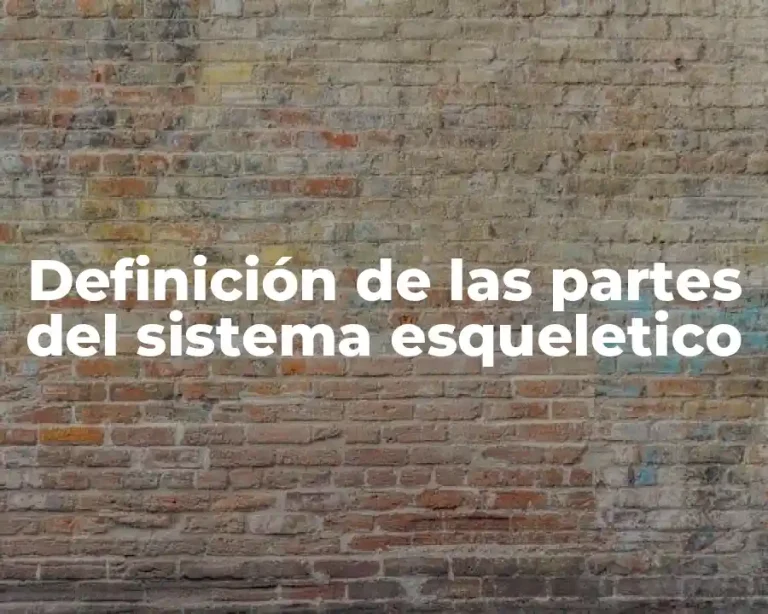 Definición de las partes del sistema esqueletico