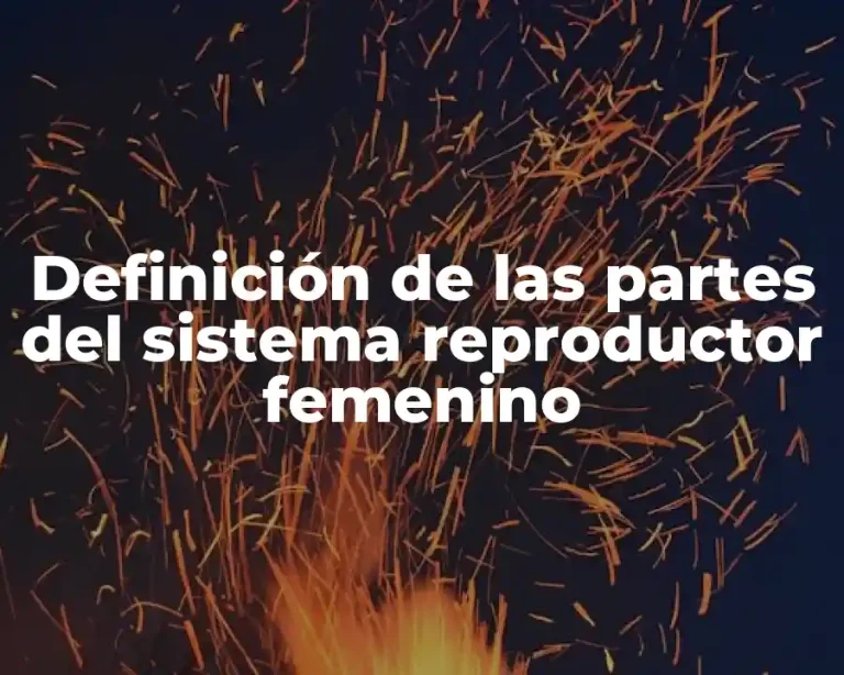 Definición de las partes del sistema reproductor femenino