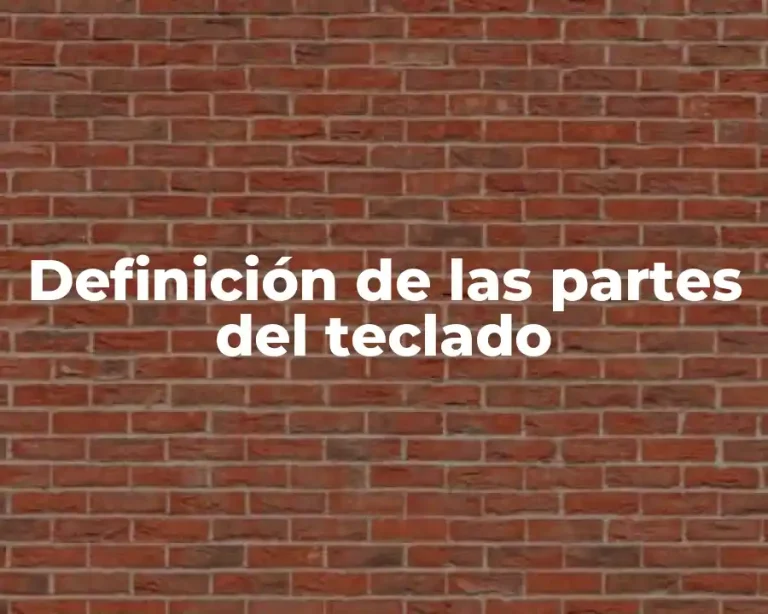 Definición de las partes del teclado