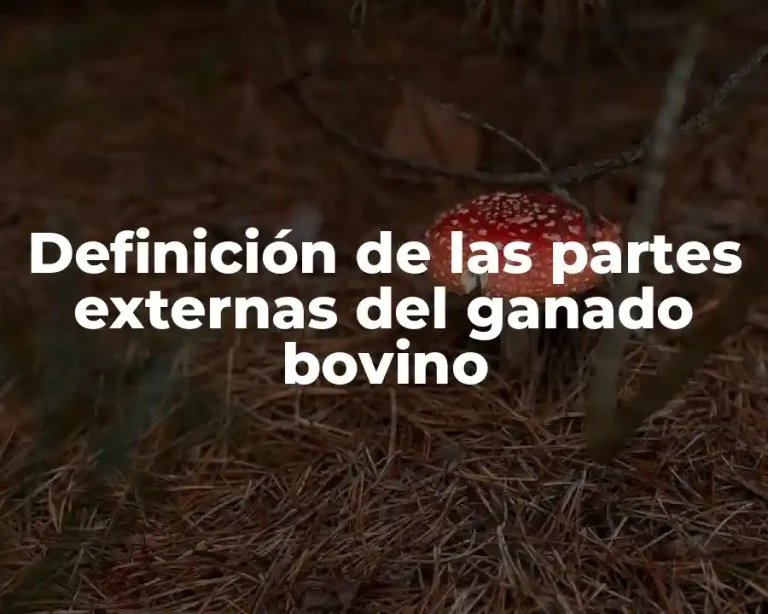 Definición de las partes externas del ganado bovino