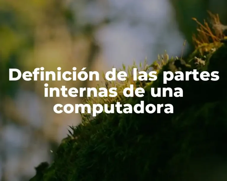 Definición de las partes internas de una computadora