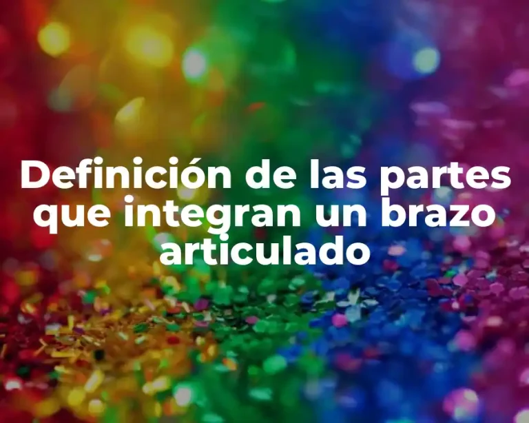 Definición de las partes que integran un brazo articulado