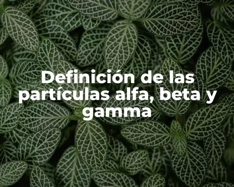 Definición de las partículas alfa, beta y gamma