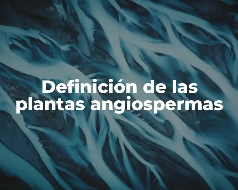 Definición de las plantas angiospermas