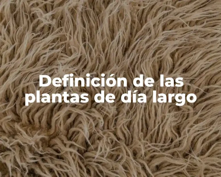 Definición de las plantas de día largo