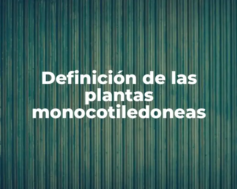 Definición de las plantas monocotiledoneas