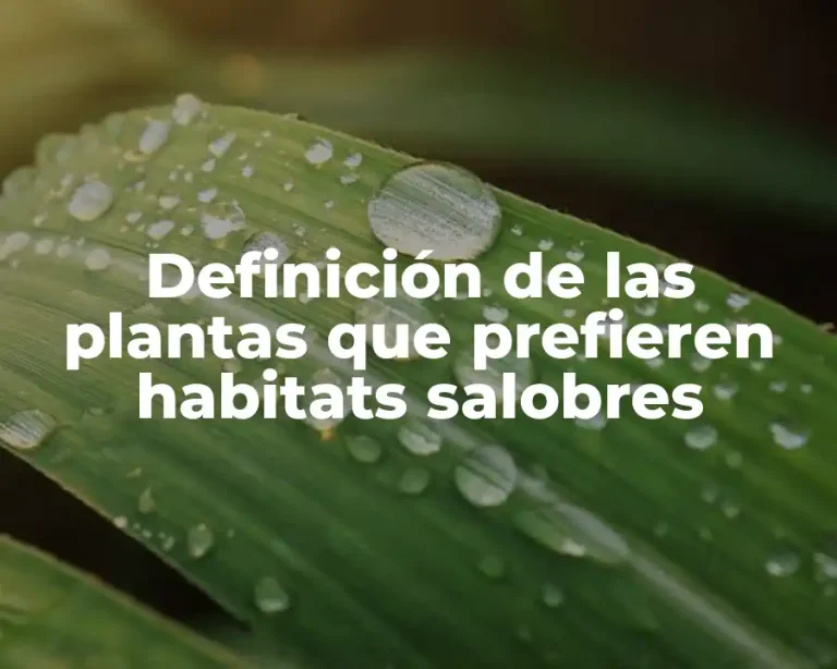 Definición de las plantas que prefieren habitats salobres