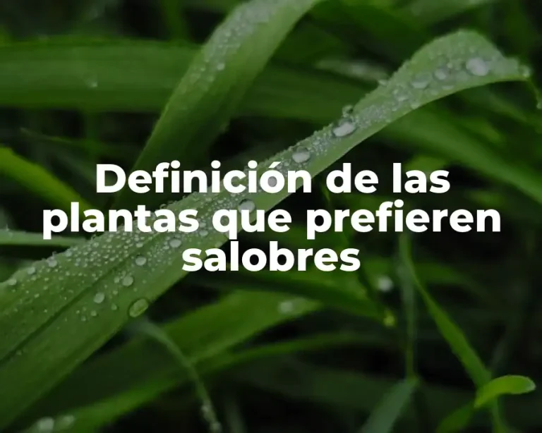 Definición de las plantas que prefieren salobres
