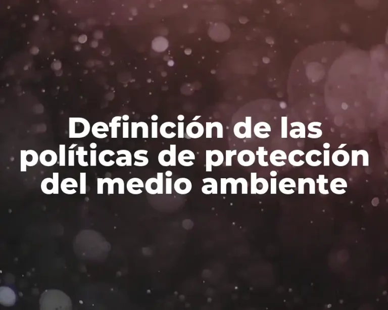 Definición de las políticas de protección del medio ambiente