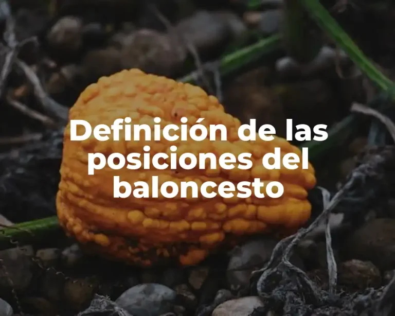 Definición de las posiciones del baloncesto