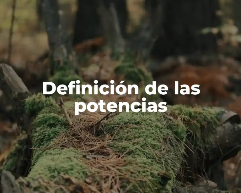 Definición de las potencias