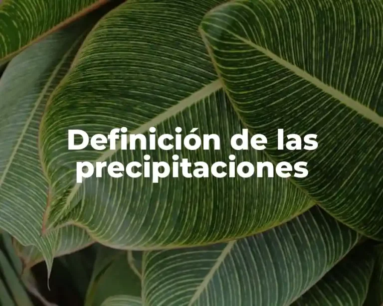 Definición de las precipitaciones