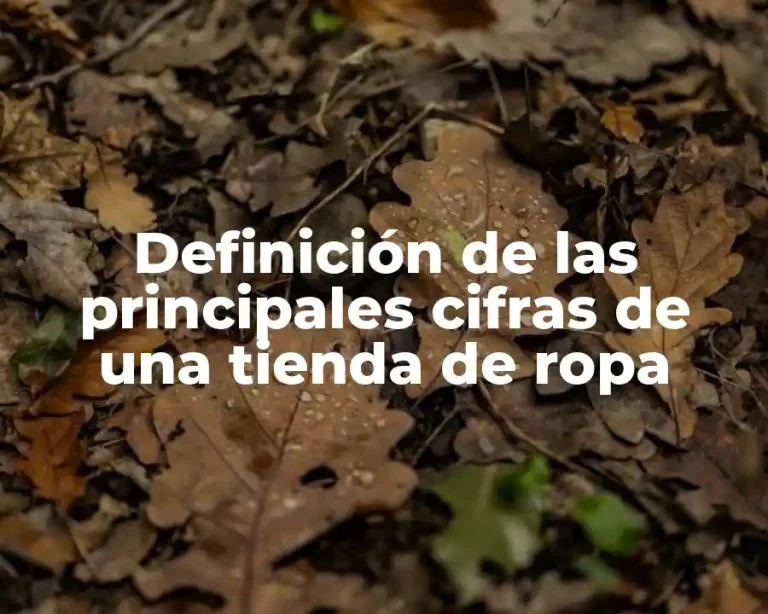 Definición de las principales cifras de una tienda de ropa