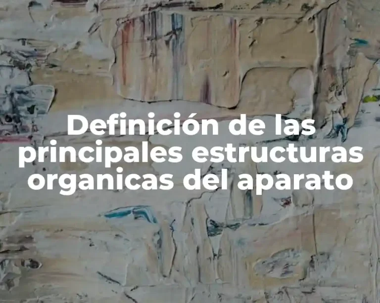 Definición de las principales estructuras organicas del aparato