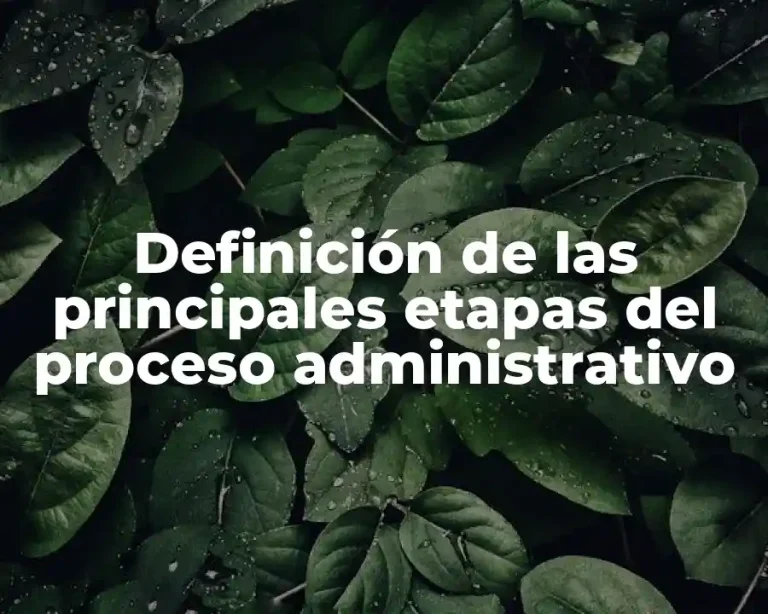 Definición de las principales etapas del proceso administrativo