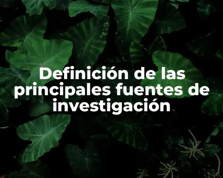 Definición de las principales fuentes de investigación