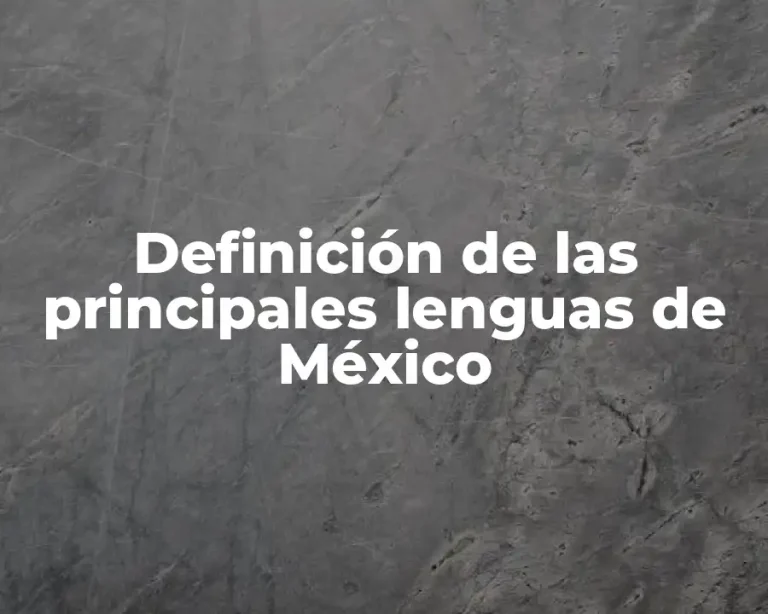 Definición de las principales lenguas de México