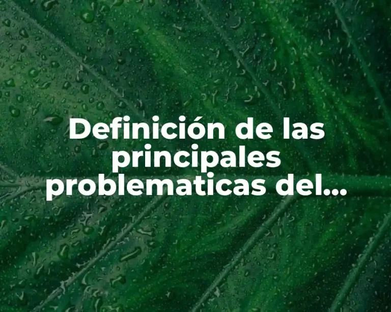 Definición de las principales problematicas del desarrollo sustentable
