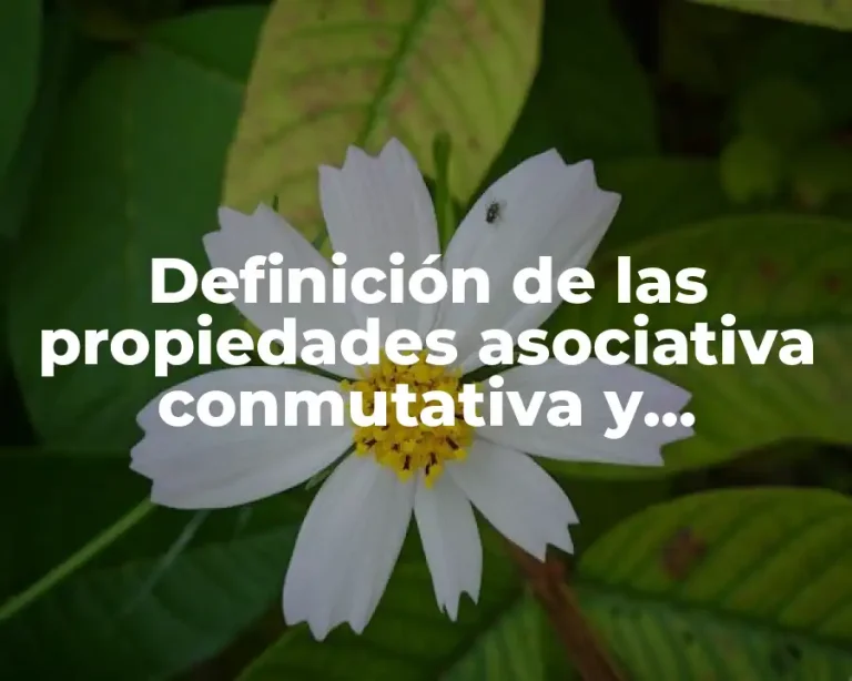 Definición de las propiedades asociativa conmutativa y distributiva