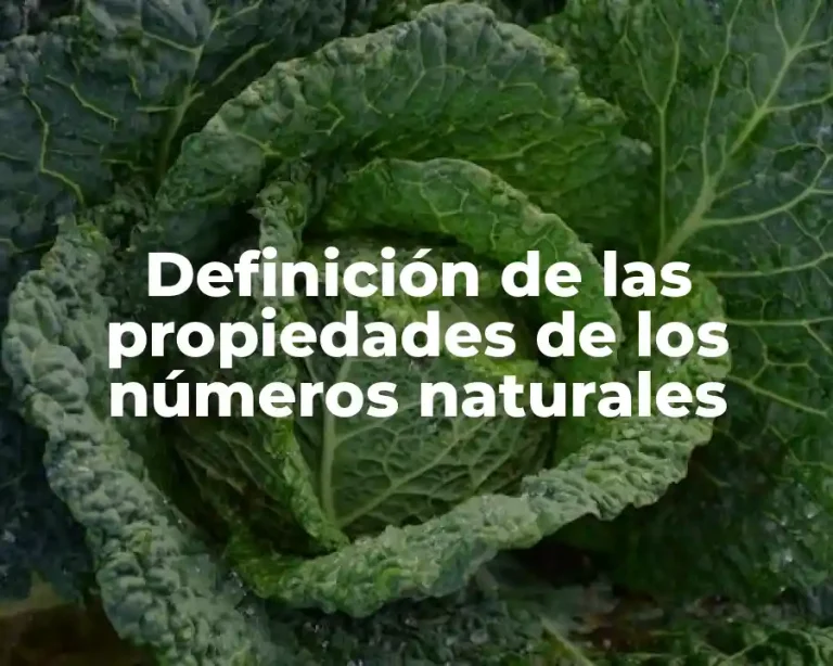 Definición de las propiedades de los números naturales
