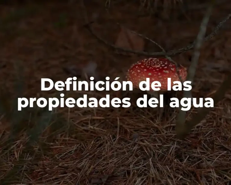 Definición de las propiedades del agua