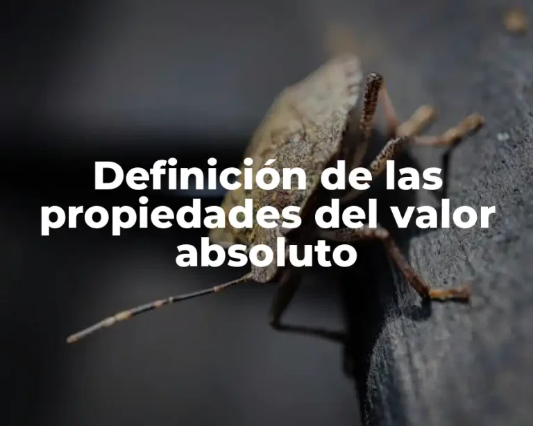 Definición de las propiedades del valor absoluto