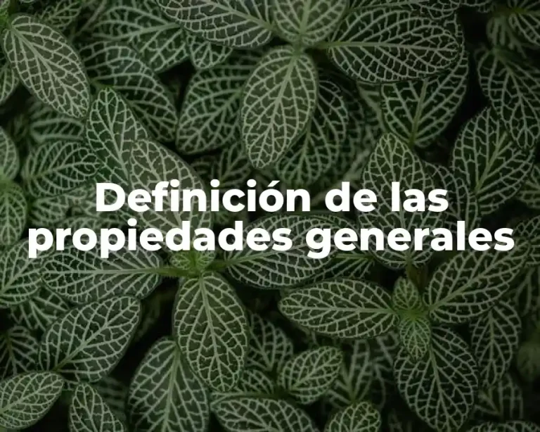 Definición de las propiedades generales