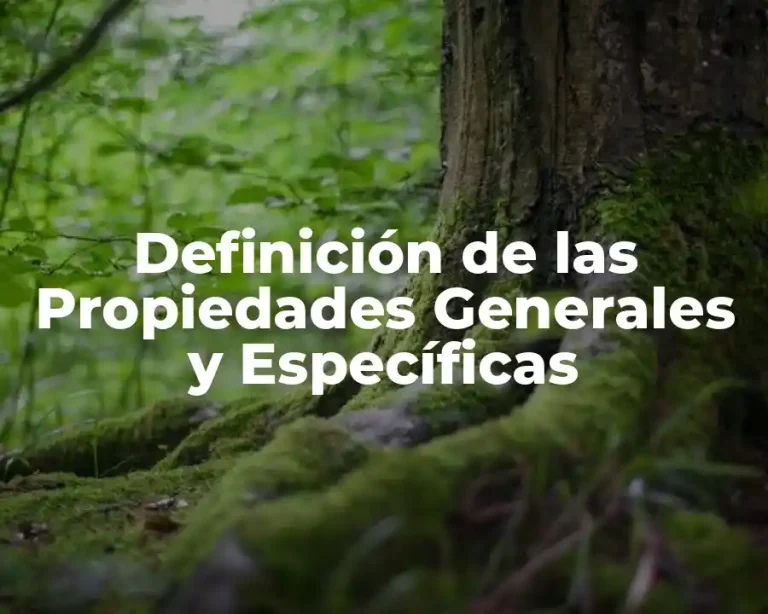 Definición de las Propiedades Generales y Específicas