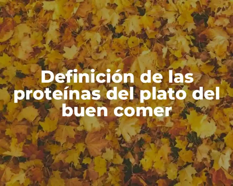 Definición de las proteínas del plato del buen comer