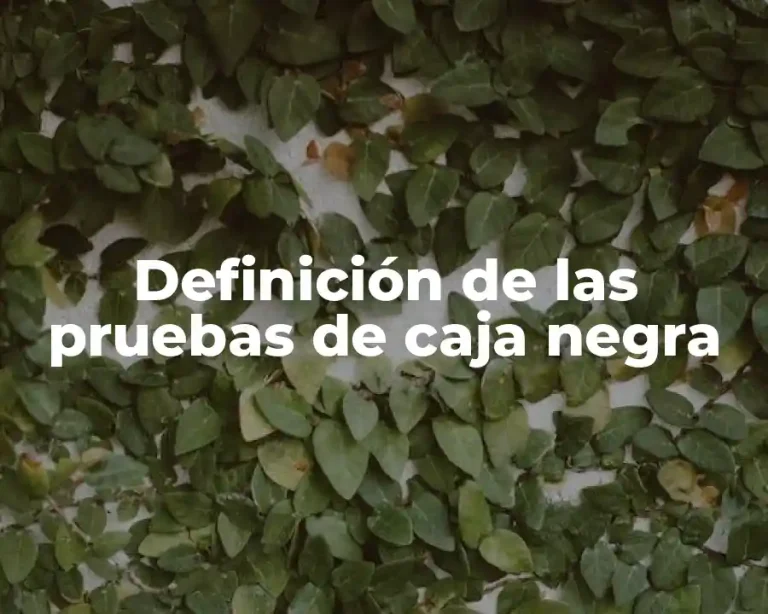 Definición de las pruebas de caja negra