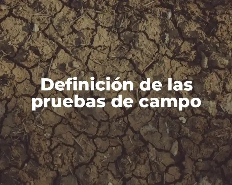 Definición de las pruebas de campo