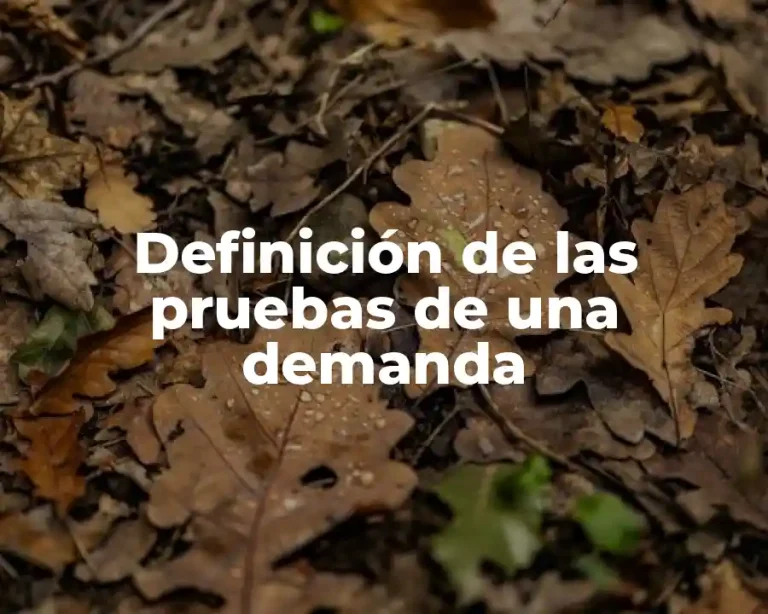 Definición de las pruebas de una demanda