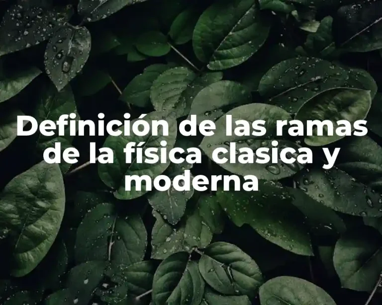 Definición de las ramas de la física clasica y moderna