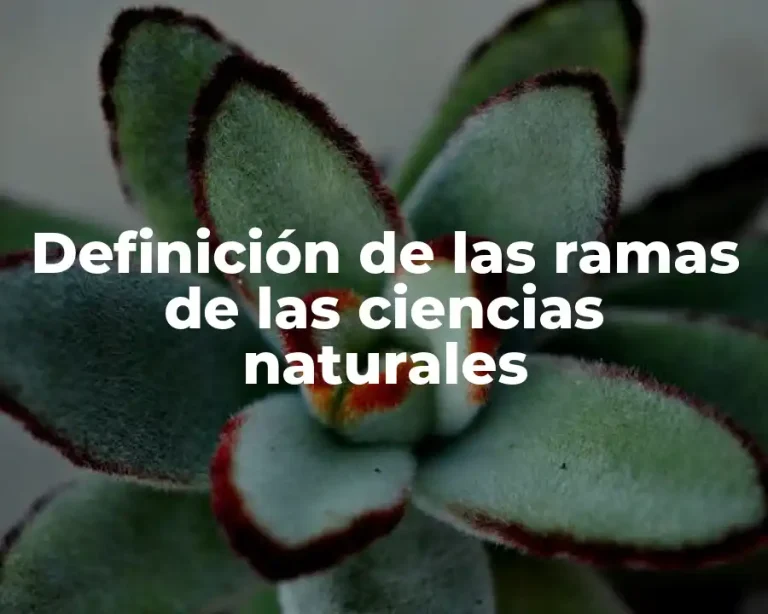 Definición de las ramas de las ciencias naturales
