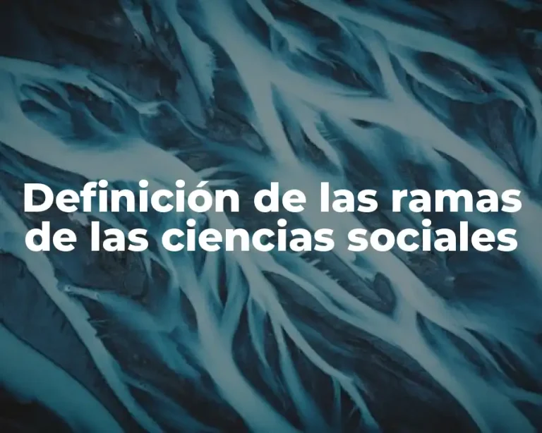 Definición de las ramas de las ciencias sociales