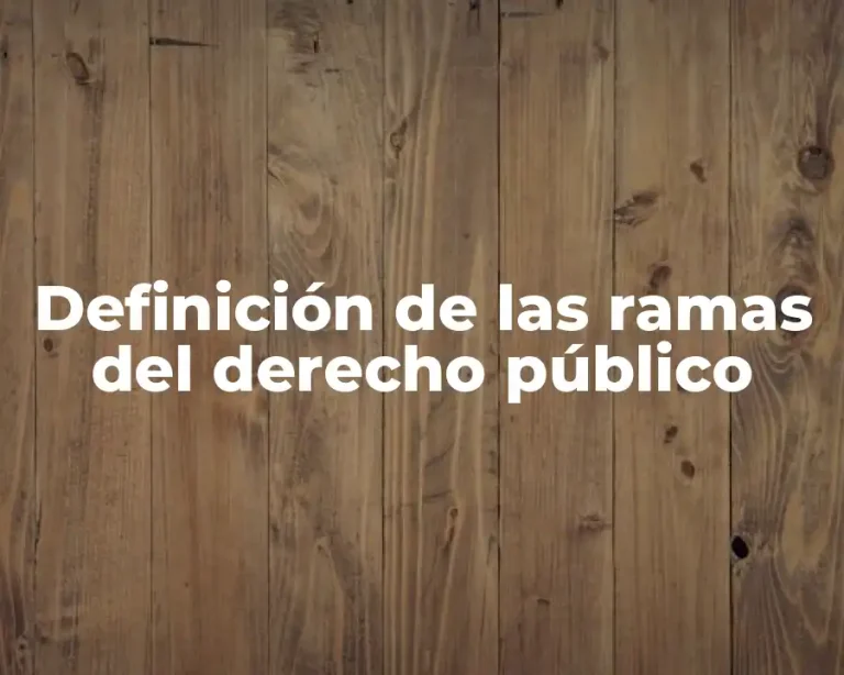 Definición de las ramas del derecho público