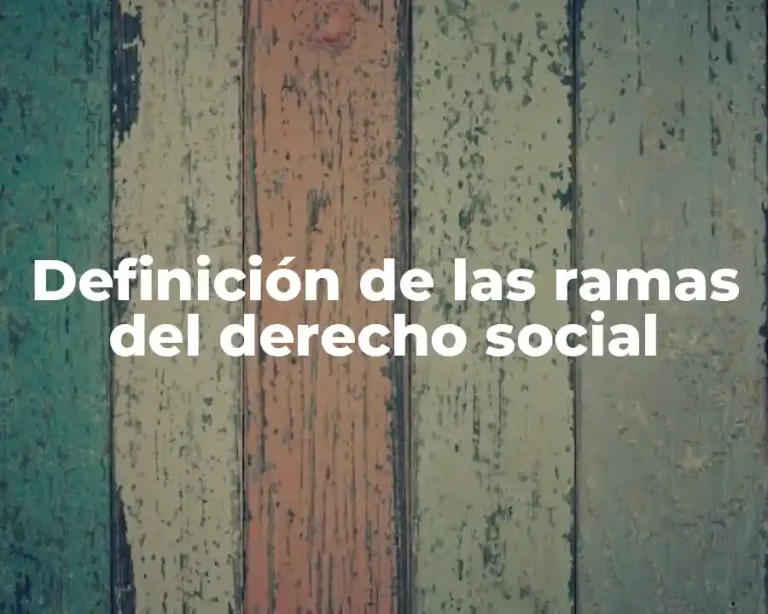 Definición de las ramas del derecho social