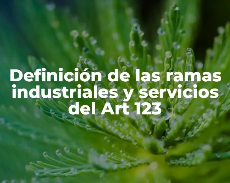 Definición de las ramas industriales y servicios del Art 123