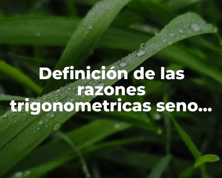 Definición de las razones trigonometricas seno, coseno y tangente