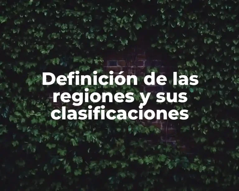 Definición de las regiones y sus clasificaciones