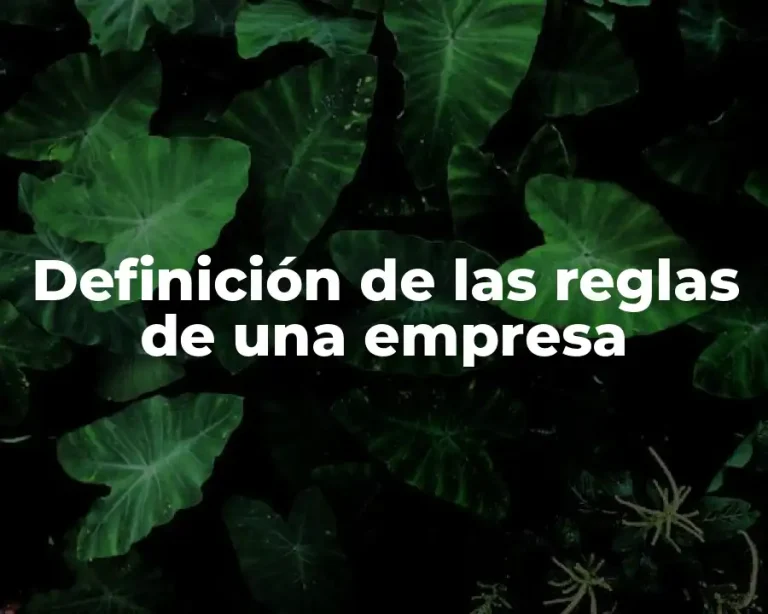 Definición de las reglas de una empresa